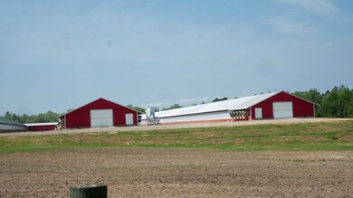 NE 05