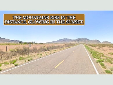 Sunshine Lun unit a New Mexico, Sunshine, NM 88030 - photo 7