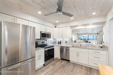 Gorgeous Kitchen SS Appliances