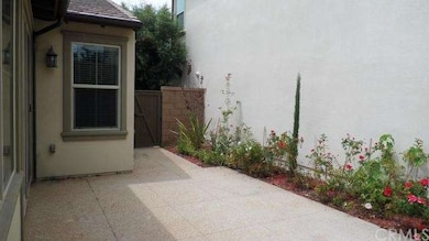 Back yard 2