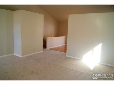 Brand New Carpet Throughout