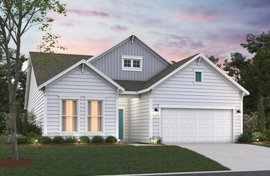 Coastal D Elevation