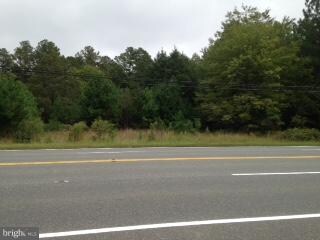 1 Jefferson Davis Hwy, Ruther Glen, VA 22546 - photo 4