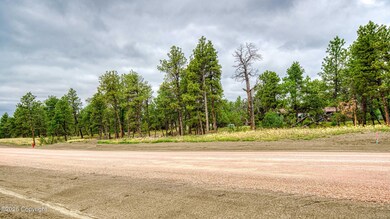 9 Pine Crest Dr, Pine Haven, WY 82721 - photo 7