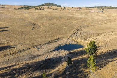 Lots 6 & 7 Mineral Ln unit TBD Mineral Lane, Hill City, SD 57747 - photo 3