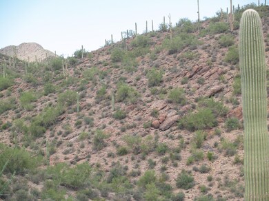 Image 1 looking NW from Bldg Pad