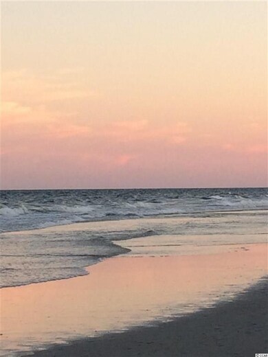 243 Red Maple Loop unit Ellison C, Longs, SC 29568 - photo 7