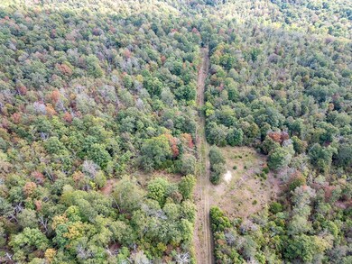 12958 N Highway 63, Hardy, AR 72542 - photo 5