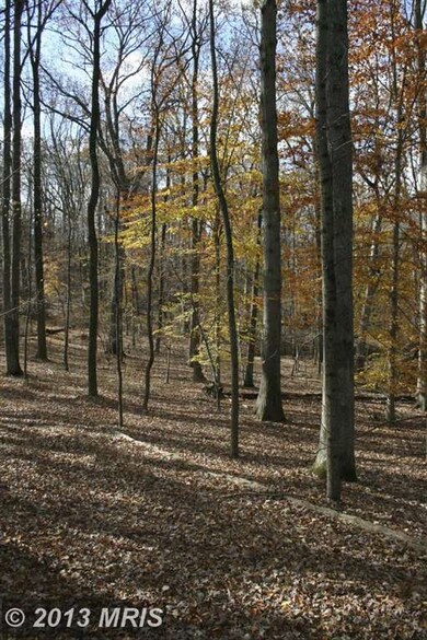 7120 Saunders Ct, Bethesda, MD 20817 - photo 5