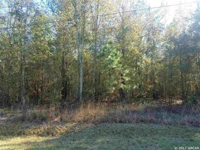 442 SW Cherrywood Way, Lake City, FL 32025 - photo 5