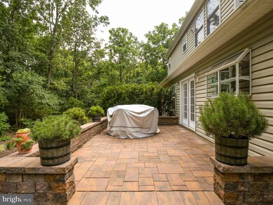 433 Cather Rd, Berryville, VA 22611 - photo 6