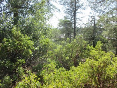 Photo_5