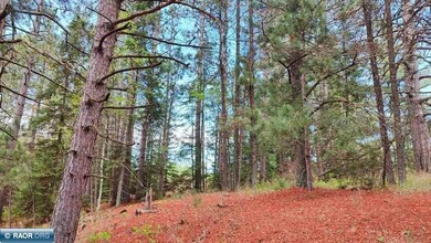 80064 Osprey Pass, Tower, MN 55790 - photo 2