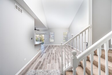 511 N Maggie Ln, Romeoville, IL 60446 - photo 6