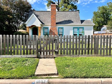 1007 Avenue of Oaks St, Houston, TX 77009 - photo 3