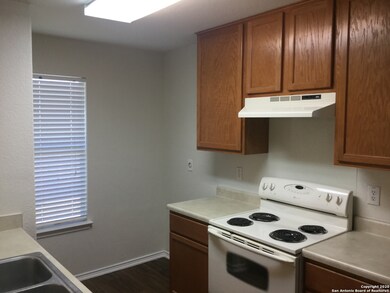 10723 Shetland Trace, San Antonio, TX 78254 - photo 5