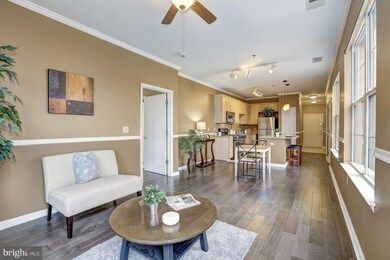 Silverton Condominiums, Silver Spring, MD 20910 - photo 7