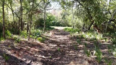 0 County Road 659 unit 75435448, Brazoria, TX 77541 - photo 6