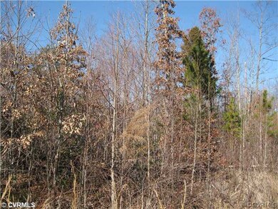 0 Courthouse Rd unit 1209657, Lunenburg, VA 23974 - photo 3