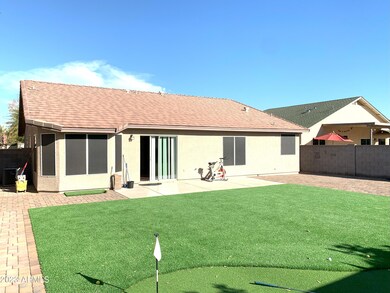 Backyard 3