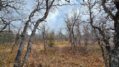 138 E Oak Ridge Dr, Mount Pleasant, UT 84647 - photo 5