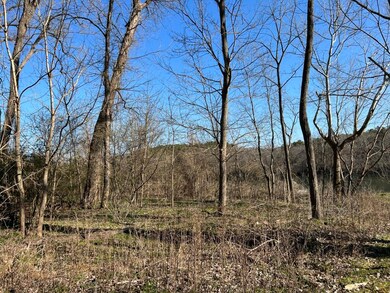 IMG_6432 (Medium) (1)