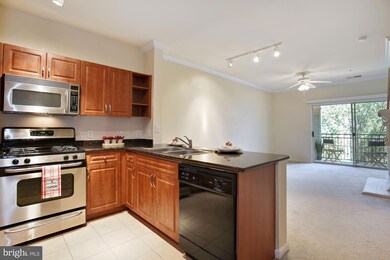12917 Centre Park Cir unit 312, Herndon, VA 20171 - photo 6