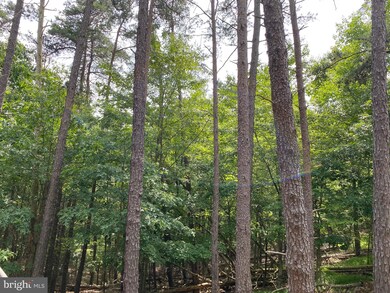 0 Big Sky Ln unit WVMO116644, Berkeley Springs, WV 25411 - photo 2