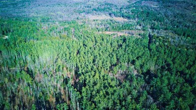 00 Wells Rd, Franconia, NH 03580 - photo 7