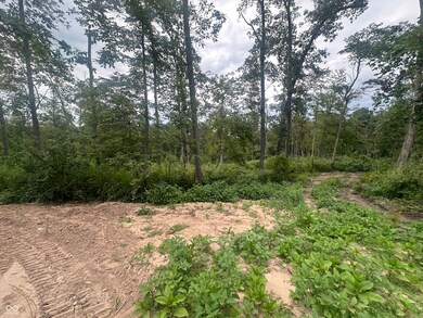 120 Oak Ridge Ln, Covington, IN 47932 - photo 6