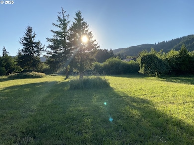 0 1st St, Yoncalla, OR 97499 - photo 5