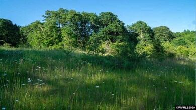 0 Baker Creek (Parcel #473776) Rd unit 766110, McMinnville, OR 97128 - photo 2