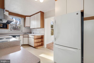 6710 Oak Dr, Alexandria, VA 22306 - photo 6