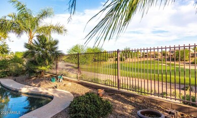 Back Yard View
