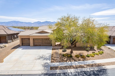 East Facing Backyard