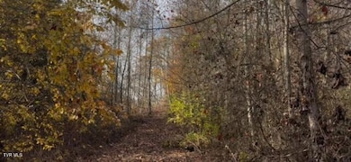 1030 N Paperville Rd, Bristol, TN 37620 - photo 6