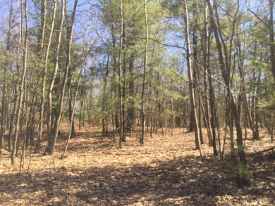 0 Coolbaugh Mountain Rd, Exeter Township, PA 18615 - photo 5