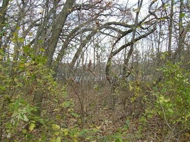 7801 W 121st Ave, Crown Point, IN 46307 - photo 4