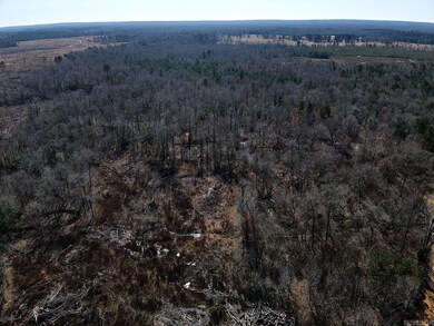 0 Beech Creek Rd, Gurdon, AR 71743 - photo 6