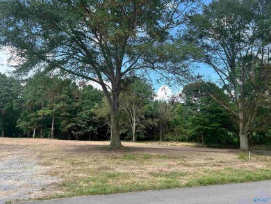 741 Haynes Rd NE, Arab, AL 35016 - photo 7