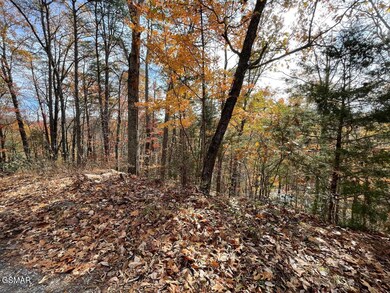Lot 34R Sugar Mountain Way, Pigeon Forge, TN 37863 - photo 6