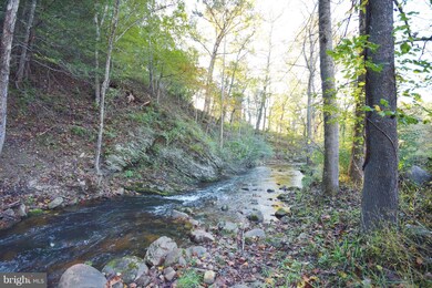 64 Gray Owl Ln, Edinburg, VA 22824 - photo 7