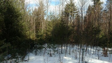 00 Woodward Dr, Milford, NH 03055 - photo 5