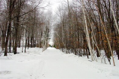 N1748 Sawdust Rd, Bruce, WI 54819 - photo 3