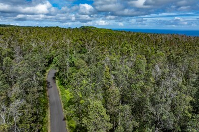 12-4235 Upper Puna Rd, Pahoa, HI 96778 - photo 4