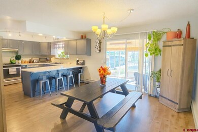 20812 Vista Grande Dr, Austin, CO 81410 - photo 4