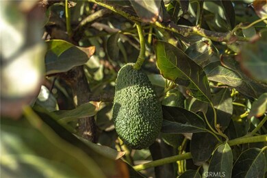 0 Gopher Canyon Rd unit CV25011412, Vista, CA 92084 - photo 7