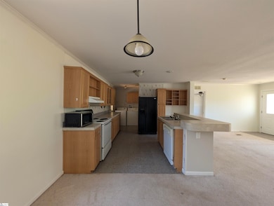 113 Sir Francis Drake Way, Liberty, SC 29657 - photo 3