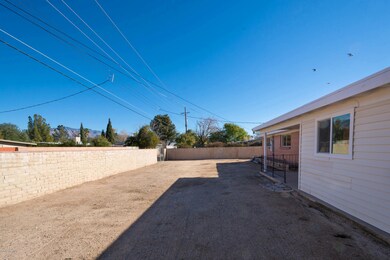 backyard-2