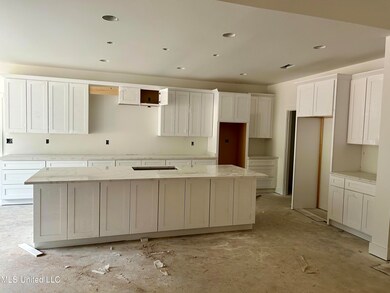 13690 Pebble Ridge Dr, Byhalia, MS 38611 - photo 7